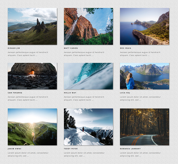 Galeria - Ultimate WordPress Album, Photo Gallery Plugin - 4